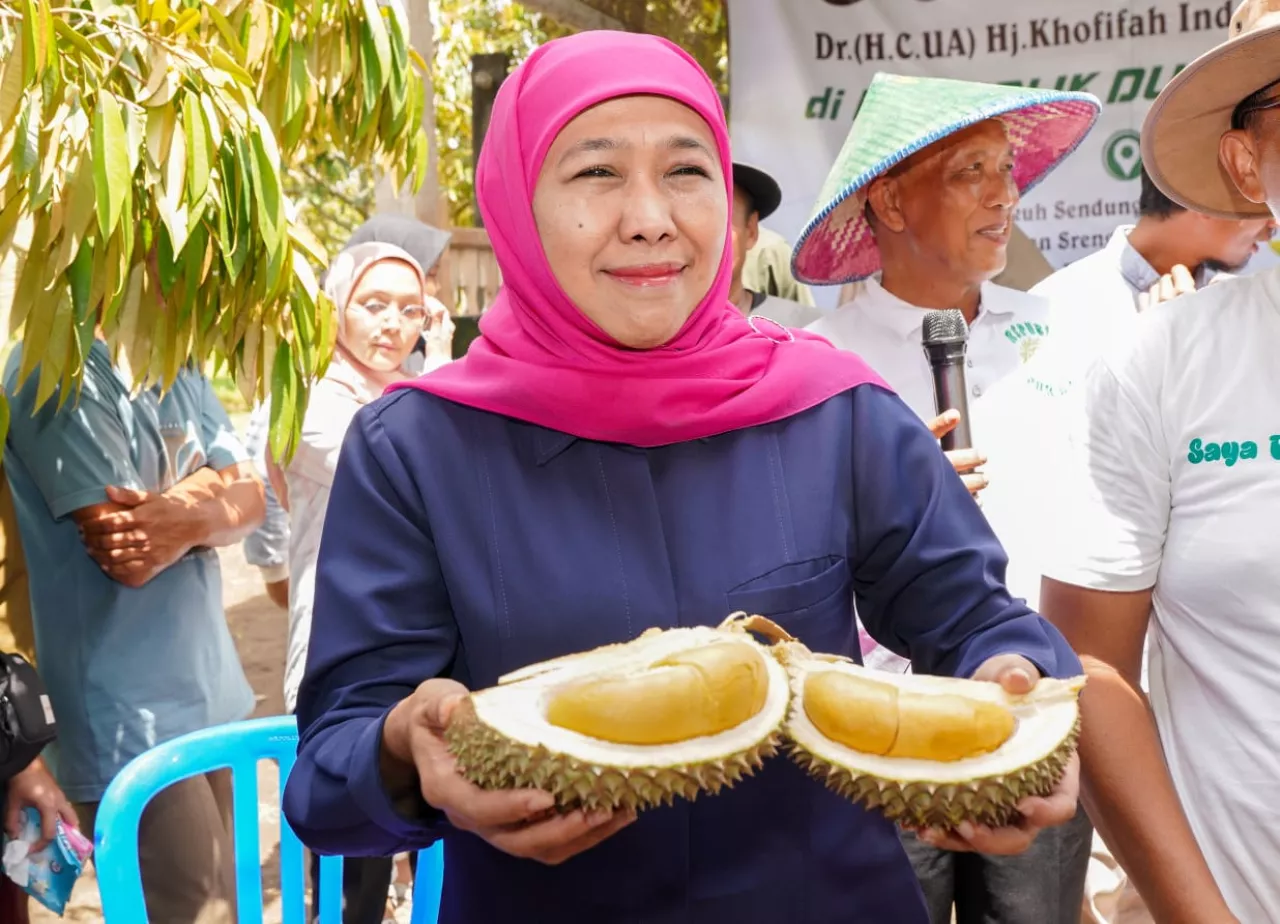 Jatim Penghasil Durian Terbesar di Indonesia, Khofifah Targetkan Pasar Global