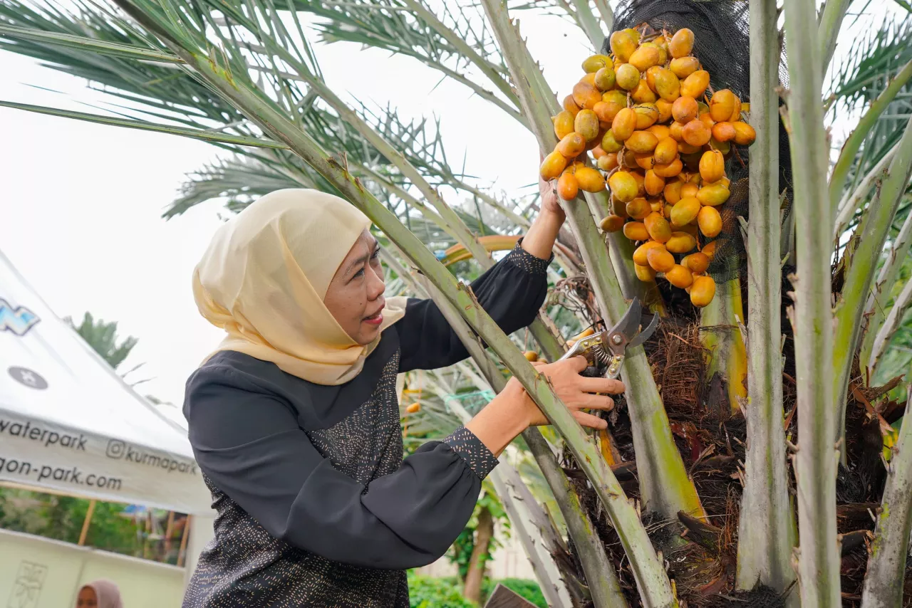 Gubernur Terpilih Khofifah Indar Parawansa Wisata Jawa Timur Kaya dan Beragam