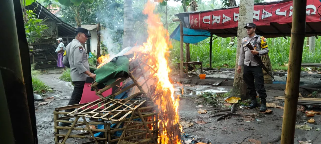 Polsek Ranuyoso langsung Bergerak Cepat dan Bongkar Kalangan Sabung ayam