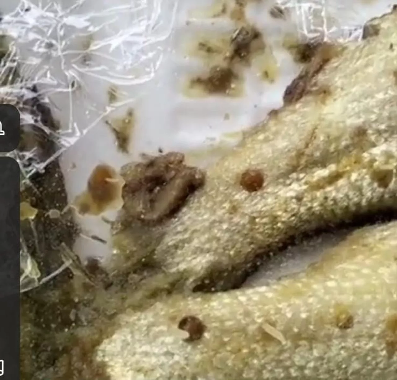 Apakah Benar? Ikan pada Menu MBG di SDN Rongtengah 2 Sampang Diduga Berulat